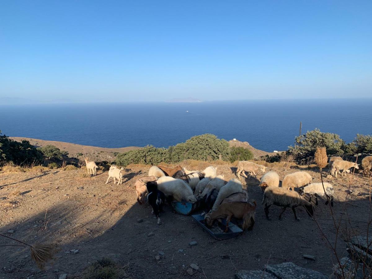 Agia MavraSunrise Dream公寓 外观 照片